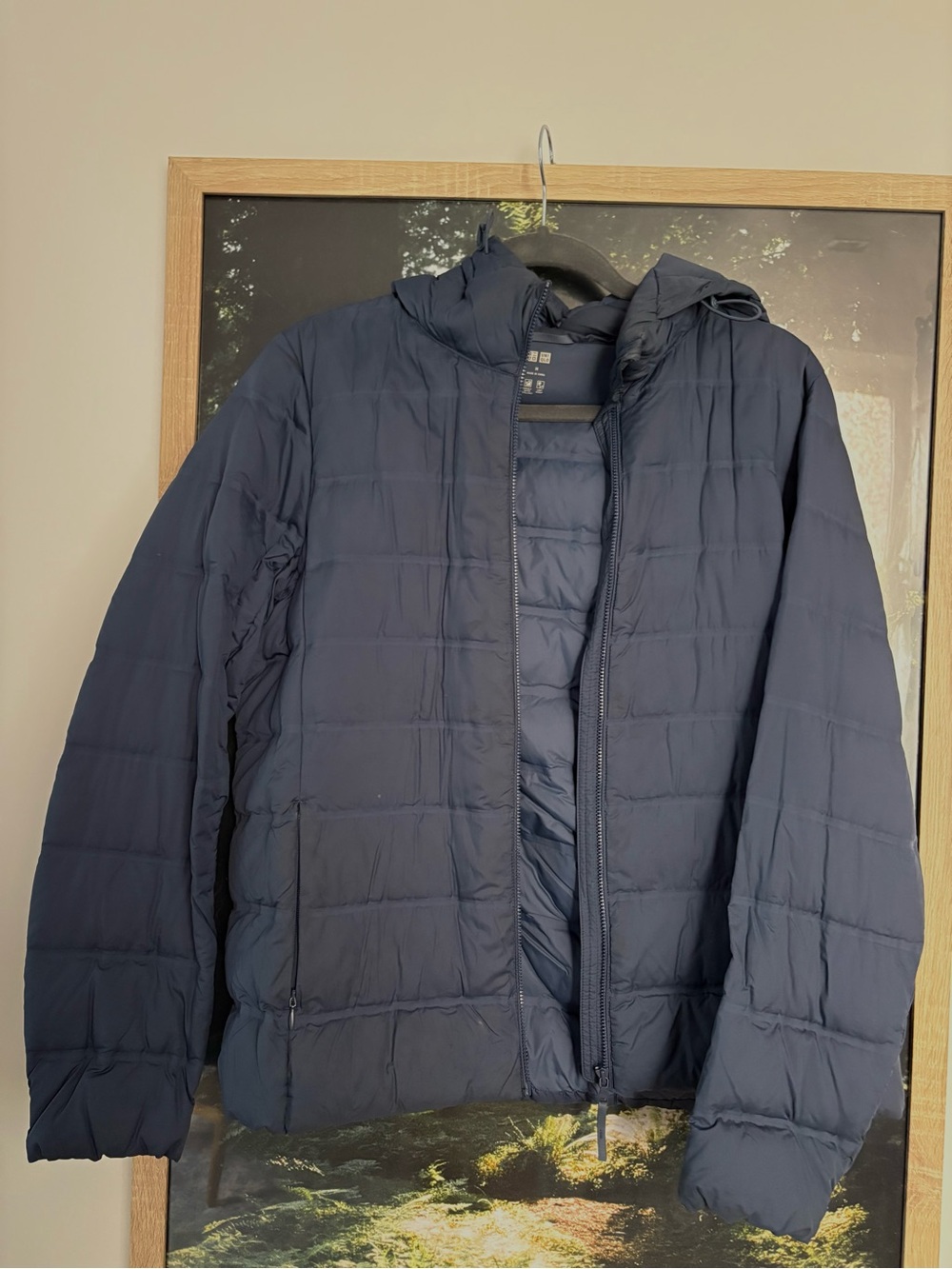 Uniqlo Ultra Light Down Hooded Jacket